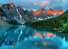 王曼昱因伤退出全运会乒乓球项目后续比赛