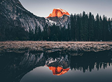 王曼昱因伤退出全运会乒乓球项目后续比赛